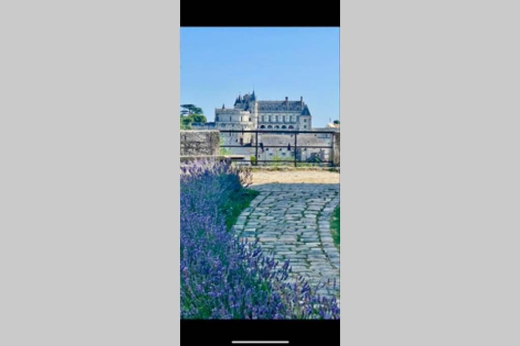 Le 17 Entre Gare Et Chateau Amboise Esterno foto